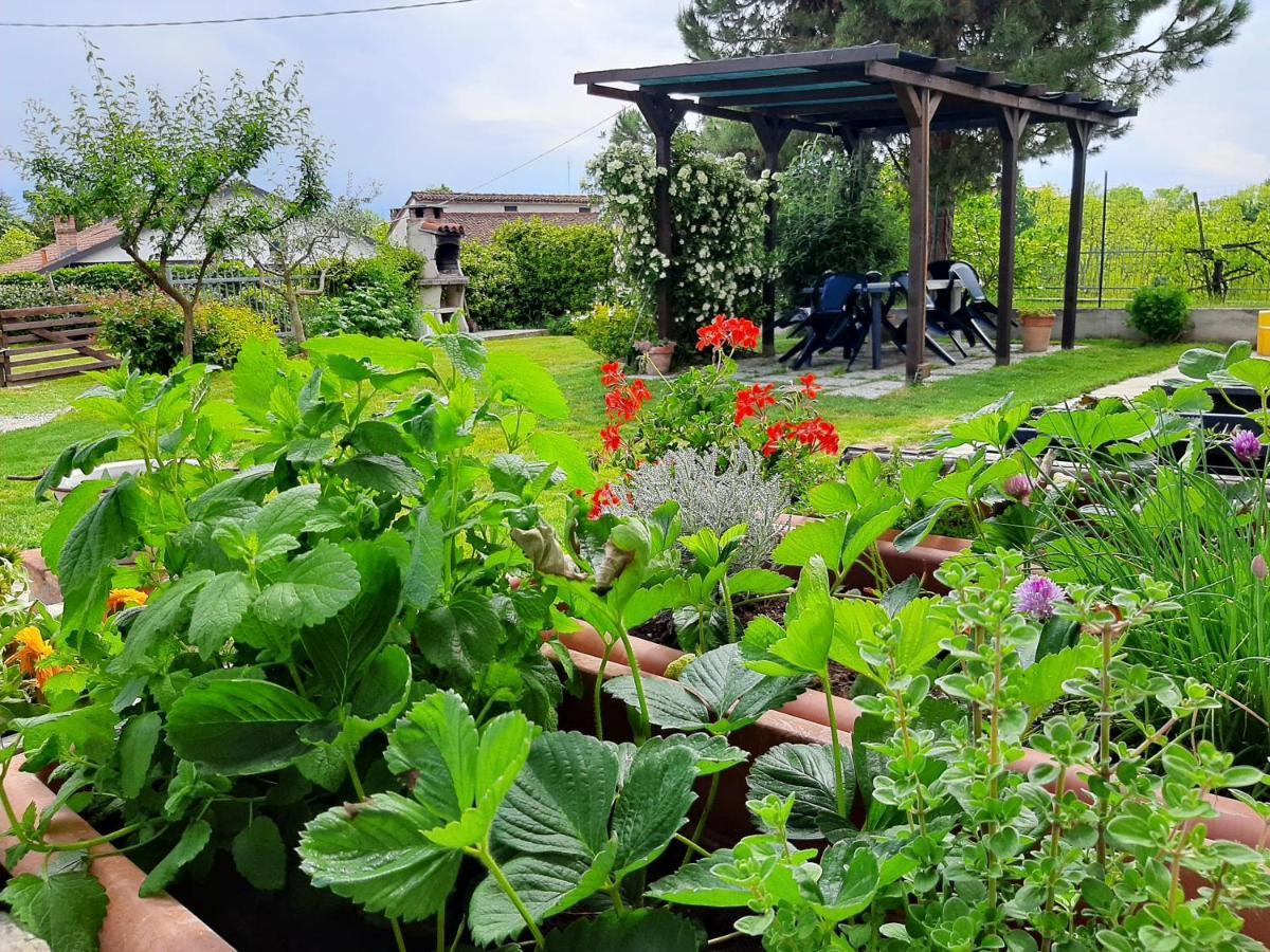 Cascina Teresina Monferrato Piscina Villa Cortazzone Exteriör bild